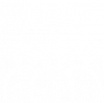 noun-user-5045460-FFFFFF 1